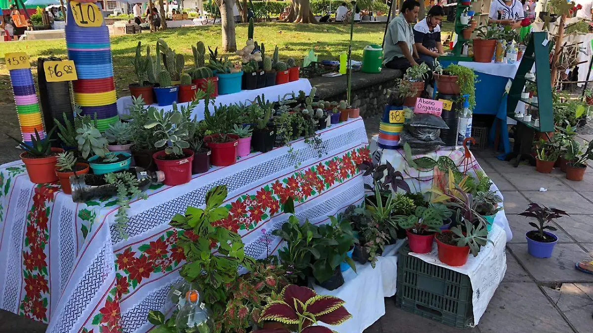 Plantas ventas